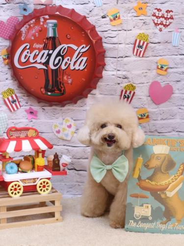 20230914クーくん